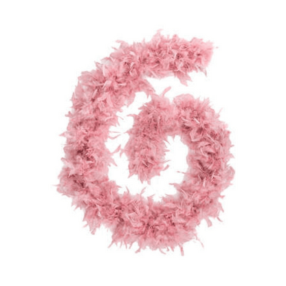 Alpha 55 Boa à plumes rose 100 g – Accessoire déco et festif