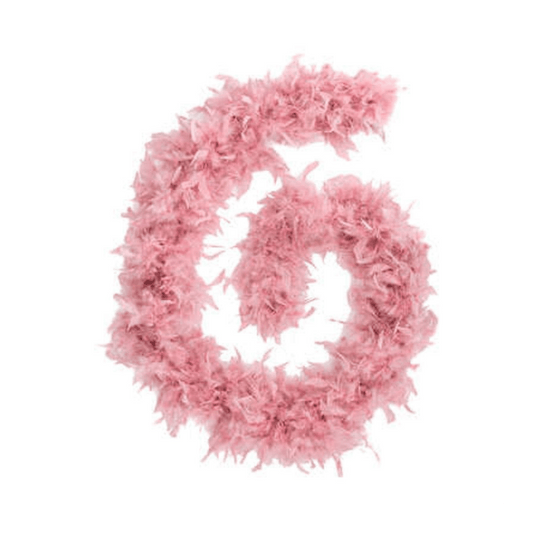 Alpha 55 Boa à plumes rose 100 g – Accessoire déco et festif