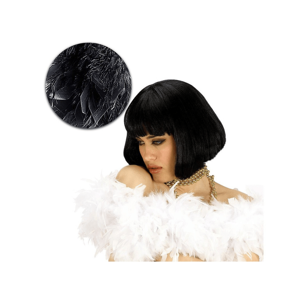 Alpha 55 Boa Plumes Uni Noir 40g Accessoire de Fête