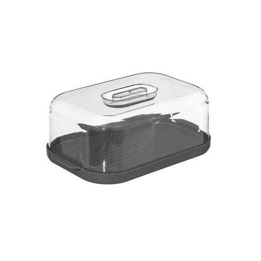 Alpha 55 Boîte à fromage Fresheat plastique pratique et hygiénique