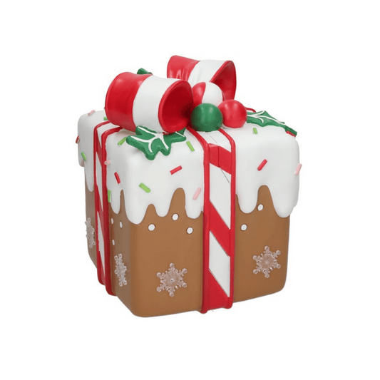 Alpha 55 Boîte cadeau LED – Décoration lumineuse de Noël