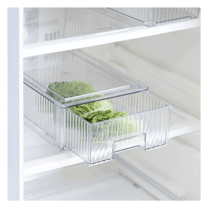 Alpha 55 Boîte Frigo Coulissante Streaks PET Transparent
