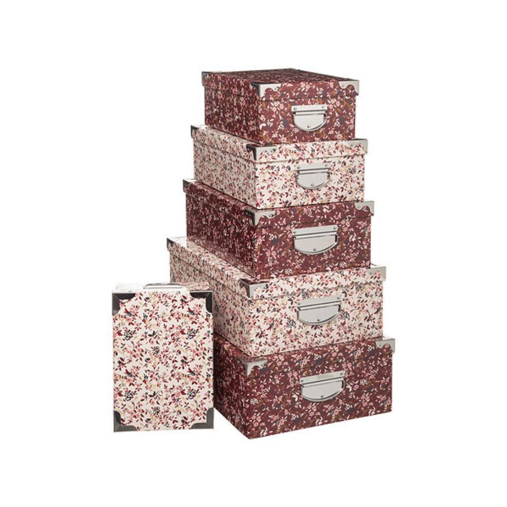 Alpha 55 Boîtes de rangement en carton "Délicatesse"