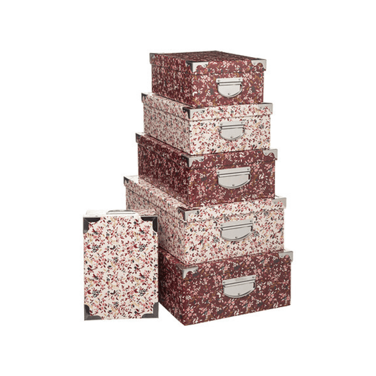 Alpha 55 Boîtes de rangement en carton "Délicatesse"