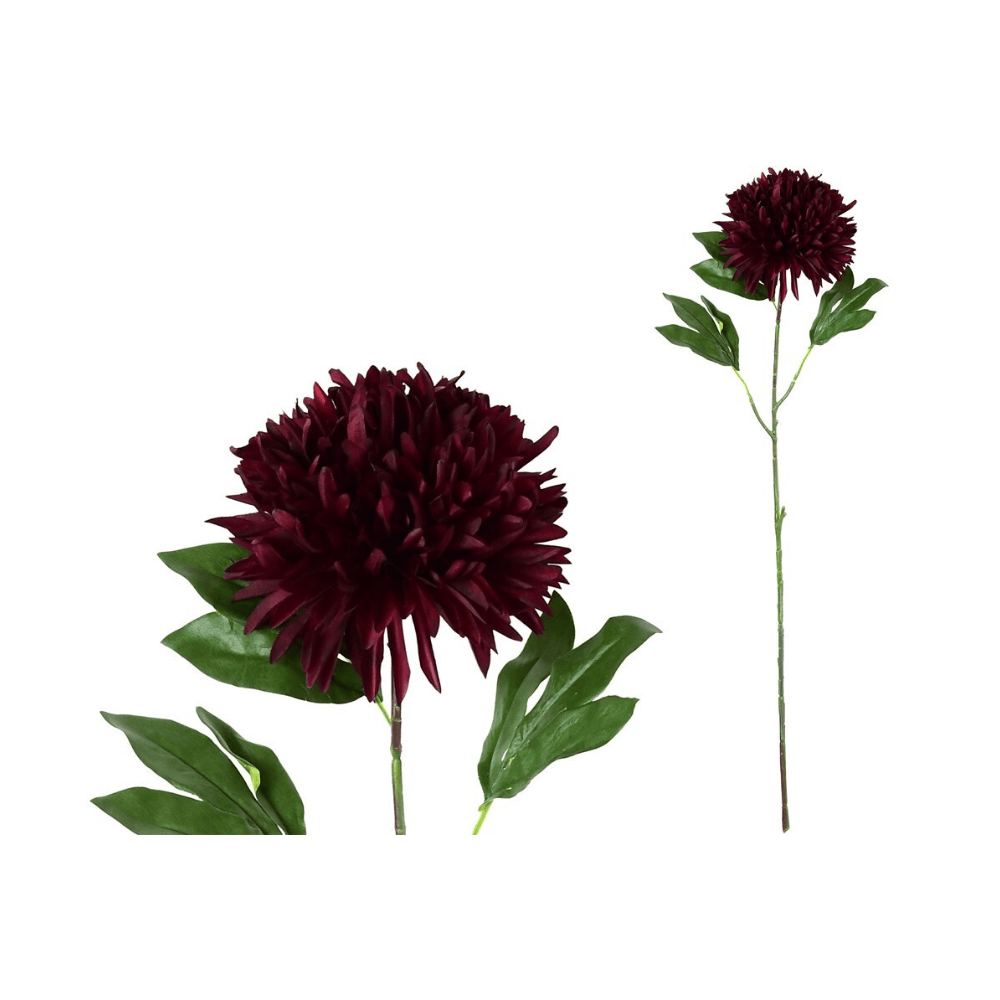 Alpha 55 Bordeaux Tige chrysanthème décorative élégante
