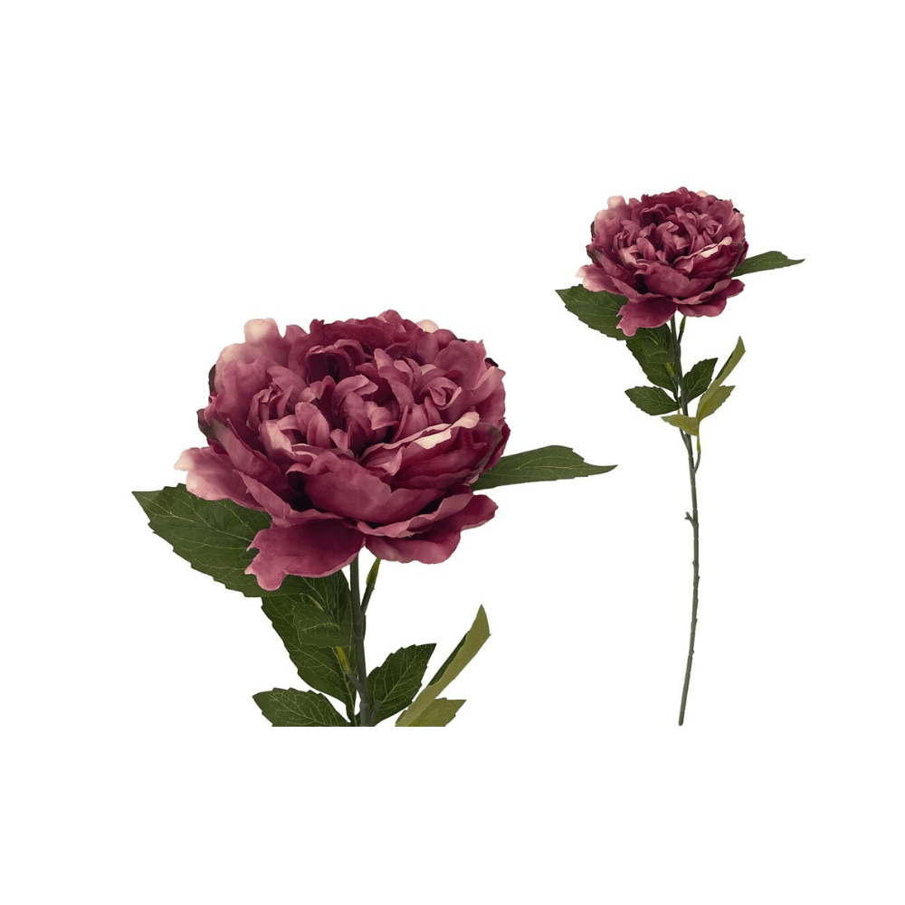 Alpha 55 Bordeaux Tige pivoine décorative élégante