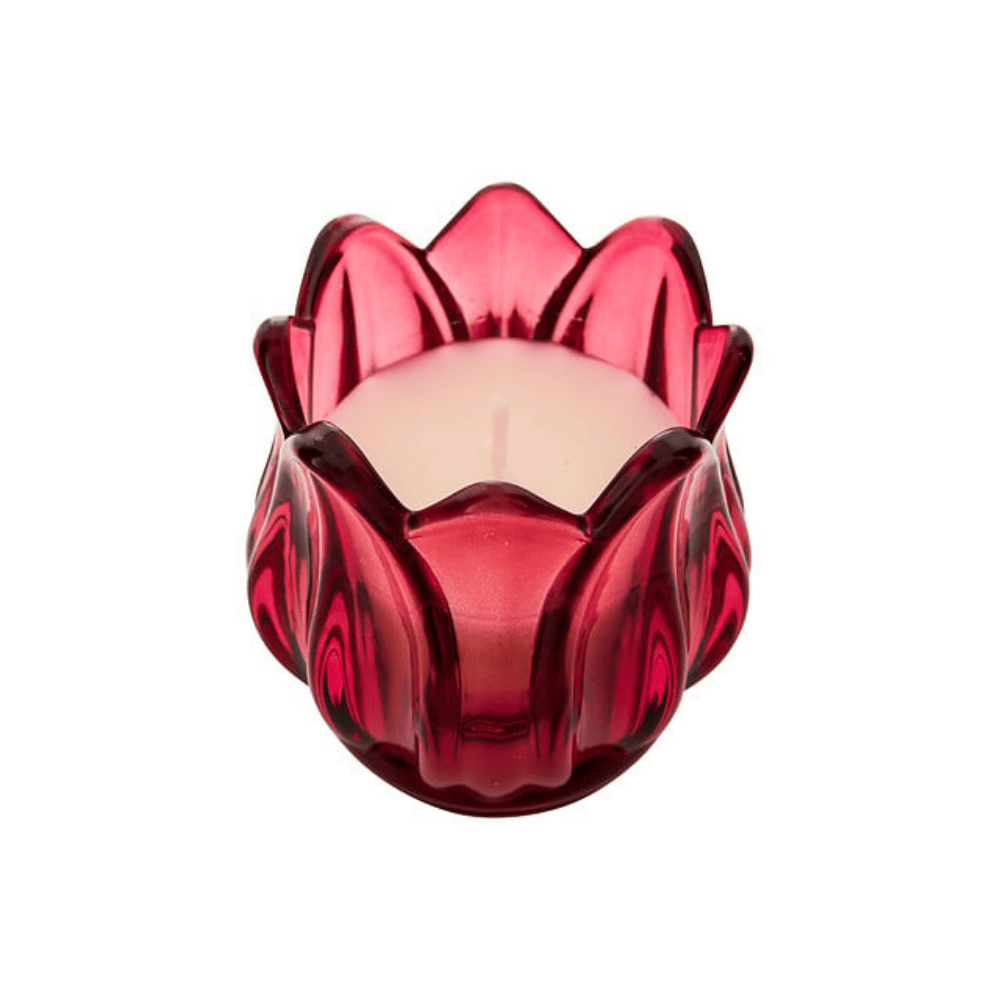 Alpha 55 Bougie Parfumée Fleur de Rose 75 g en Pot Verre