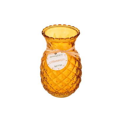 Alpha 55 Bougie Parfumée Fruity 600 g en pot Verre Citronnelle