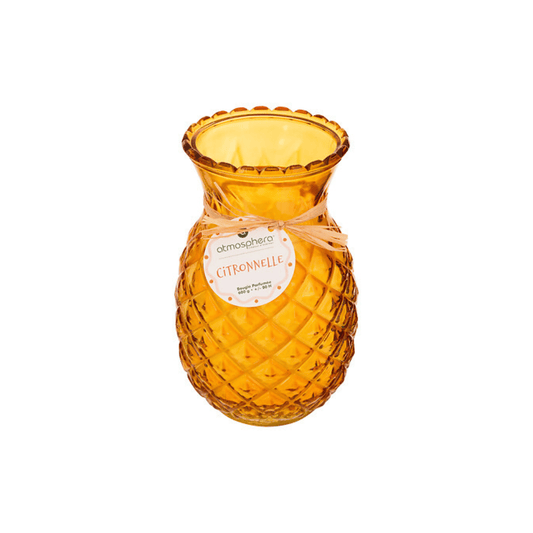 Alpha 55 Bougie Parfumée Fruity 600 g en pot Verre Citronnelle