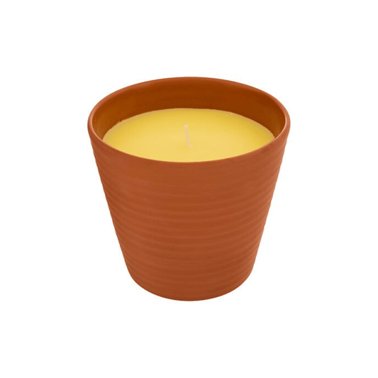 Alpha 55 Bougie Parfumée Terry 200 g Terracotta Citronnelle