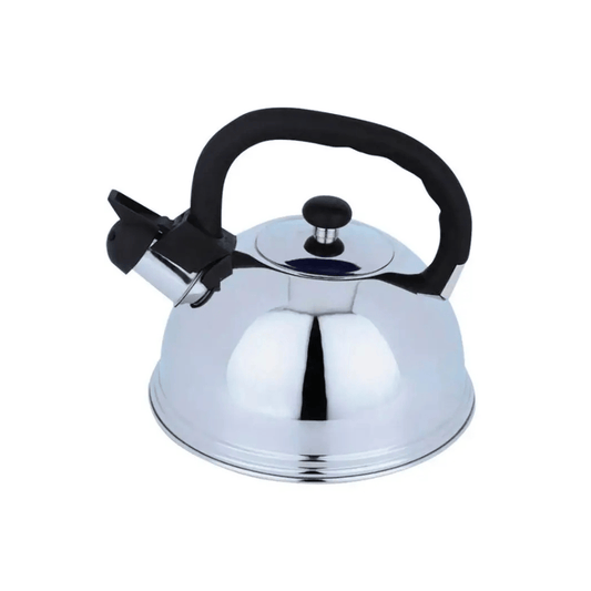 Alpha 55 Bouilloire en inox Casia élégante pratique