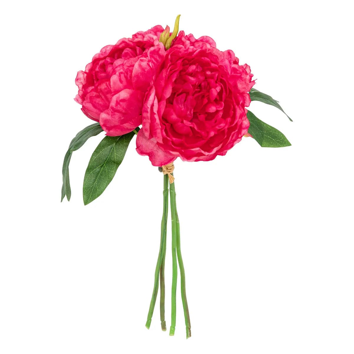 Alpha 55 Bouquet de 4 pivoines