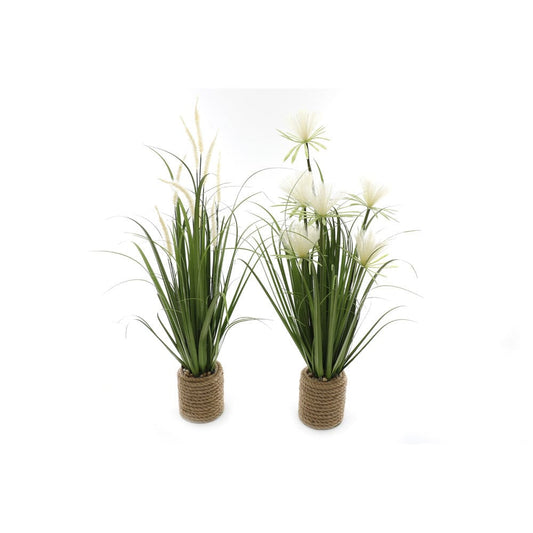 Alpha 55 Bouquet pampas avec pot corde