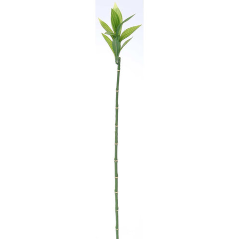 Alpha 55 Branche bambou 89 cm vert
