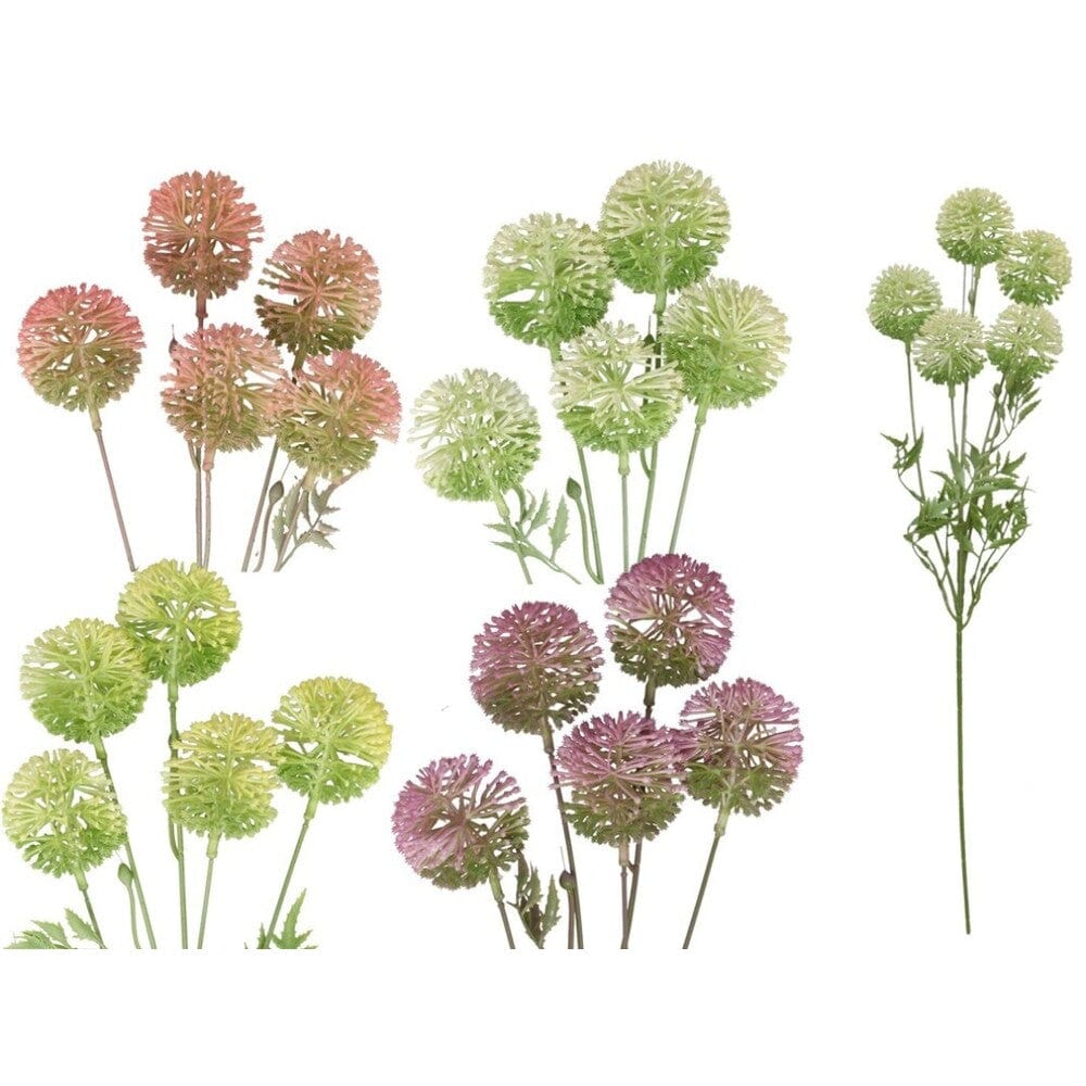 Alpha 55 Branche décorative de 5 alliums