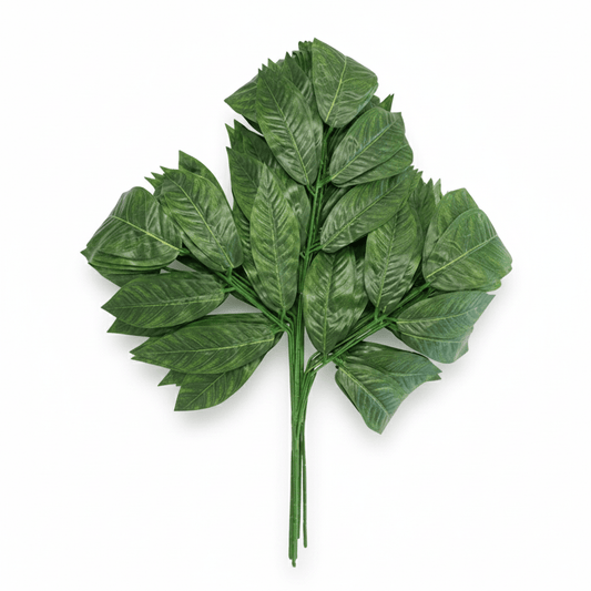 Alpha 55 Branche manguier décorative