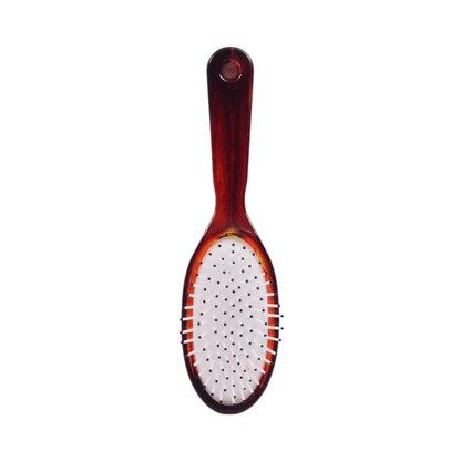 Alpha 55 Brosse ovale marron picots blancs