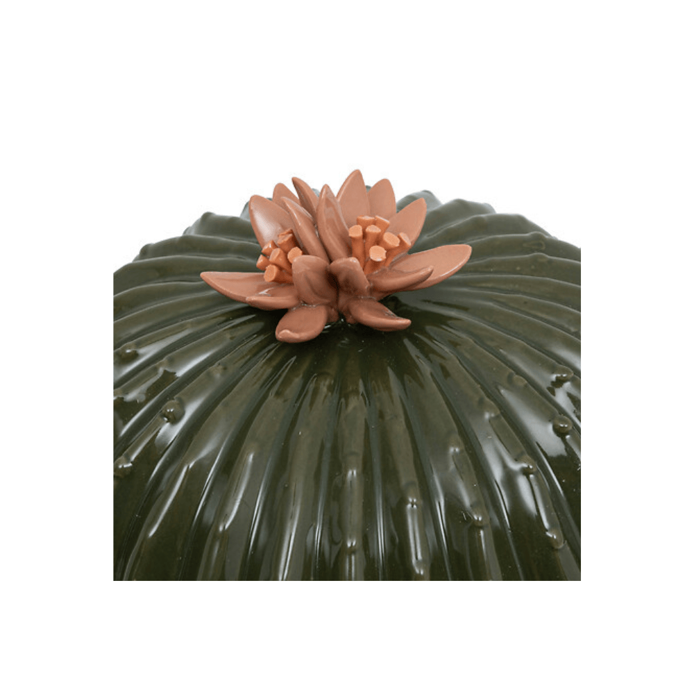 Alpha 55 Cactus Boule Déco Exotic Panama 20 cm Céramique