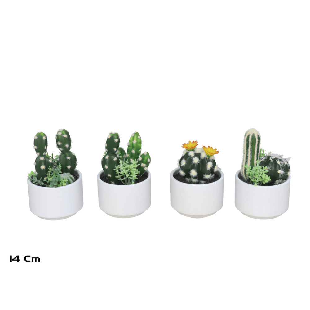 Alpha 55 Cactus en pot céramique déco moderne