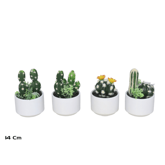 Alpha 55 Cactus en pot céramique déco moderne
