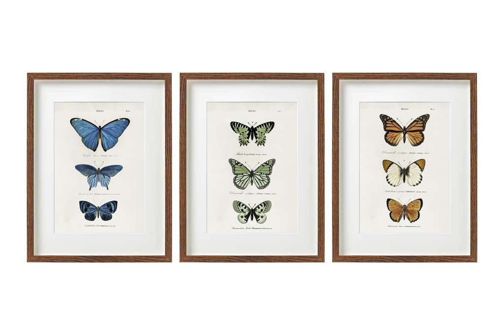 Alpha 55 Cadre déco papillon 30x40 cm, 3 modèles assortis