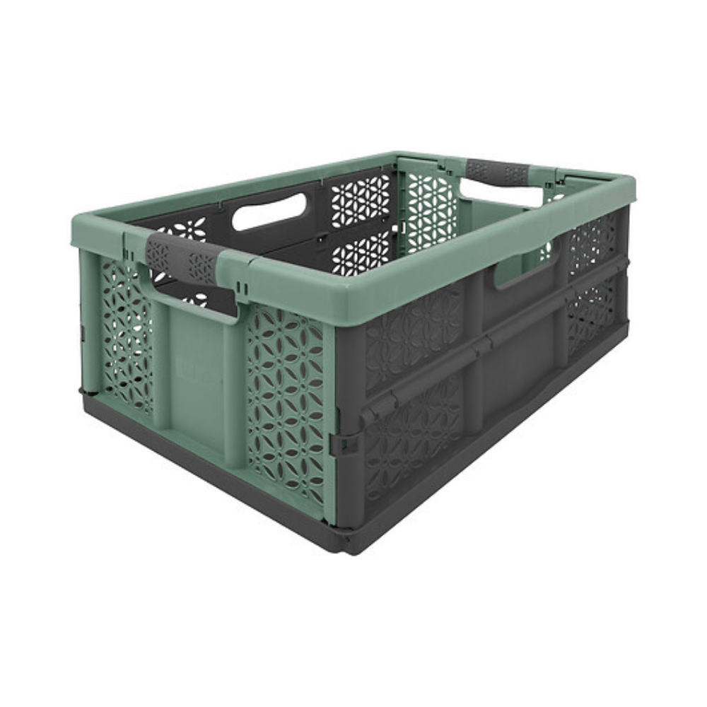 Alpha 55 Caisse de Rangement Pliable Pratique