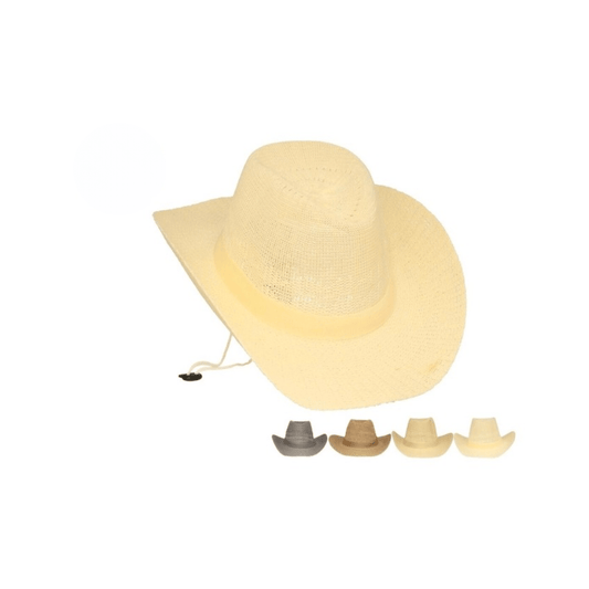 Alpha 55 Chapeau Texas style western tendance