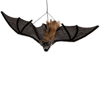 Alpha 55 Chauve-souris poilue