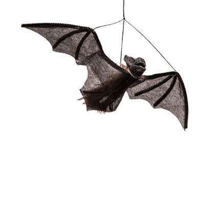 Alpha 55 Chauve-souris poilue