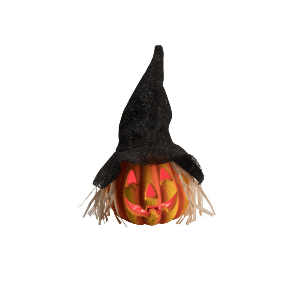 Alpha 55 Citrouille 42 cm avec Chapeau Sorcière Halloween