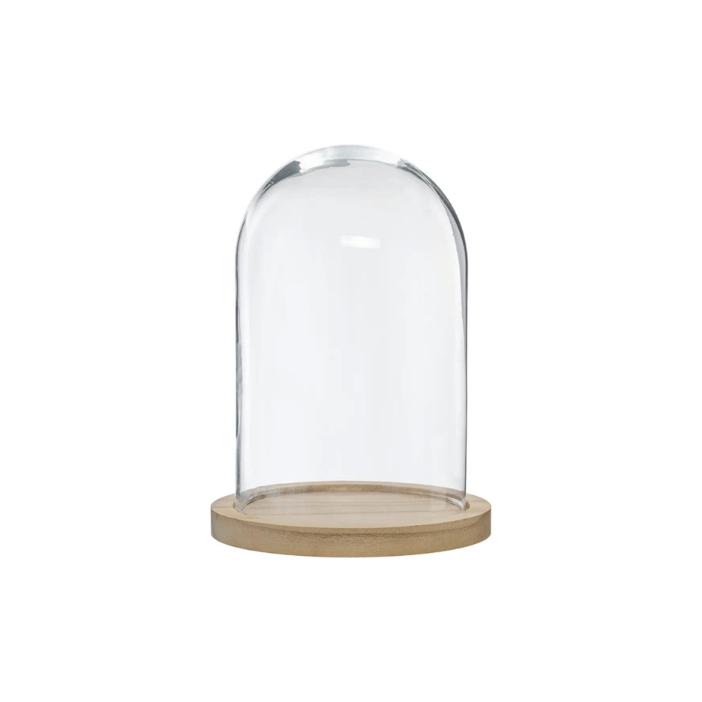 Alpha 55 Cloche Décorative en Verre