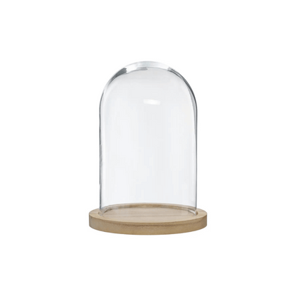 Alpha 55 Cloche Décorative en Verre