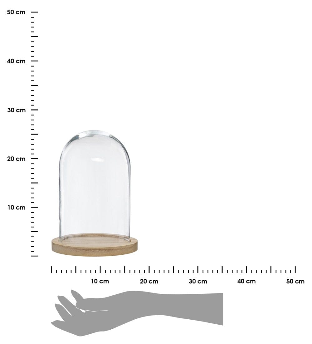 Alpha 55 Cloche Décorative en Verre