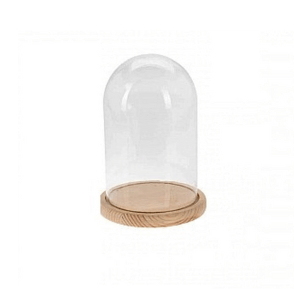 Alpha 55 Cloche en verre avec base en bois avec LED