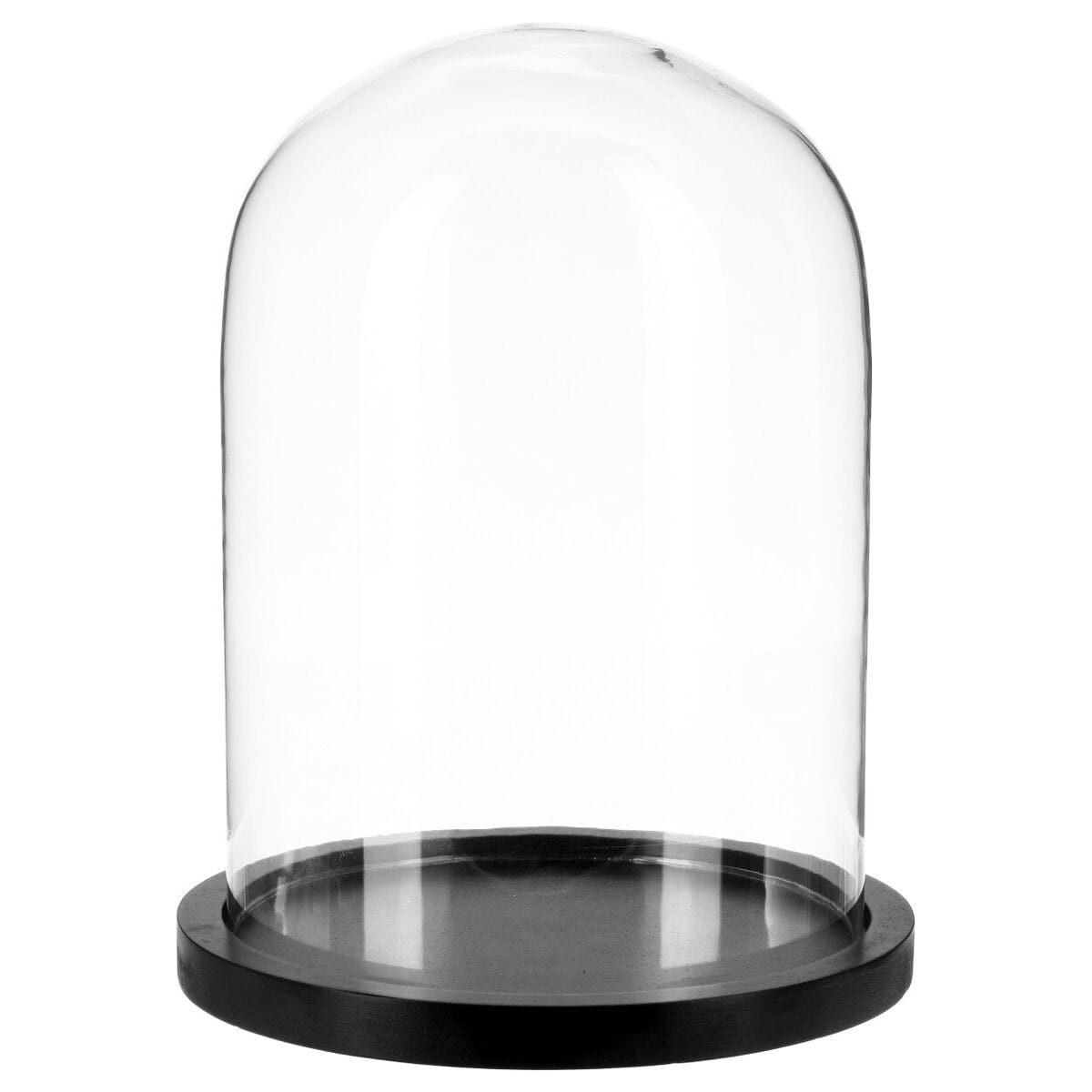 Alpha 55 Cloche en Verre sur Socle Bois