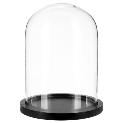 Alpha 55 Cloche en Verre sur Socle Bois