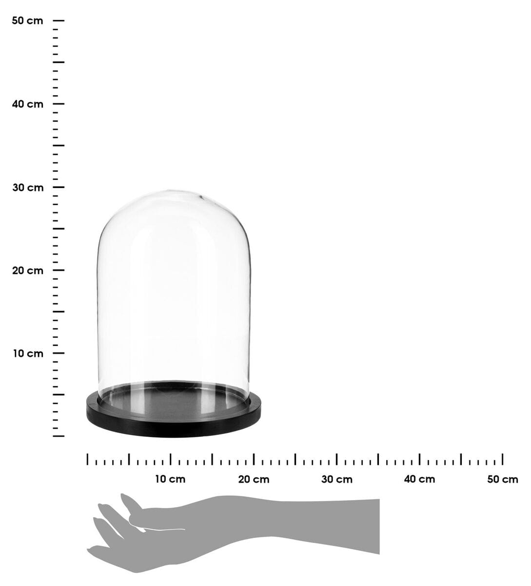 Alpha 55 Cloche en Verre sur Socle Bois