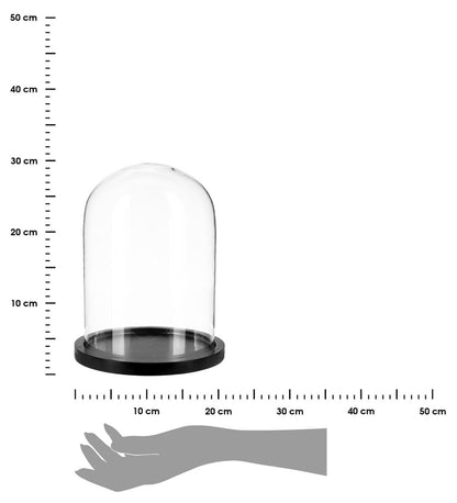 Alpha 55 Cloche en Verre sur Socle Bois