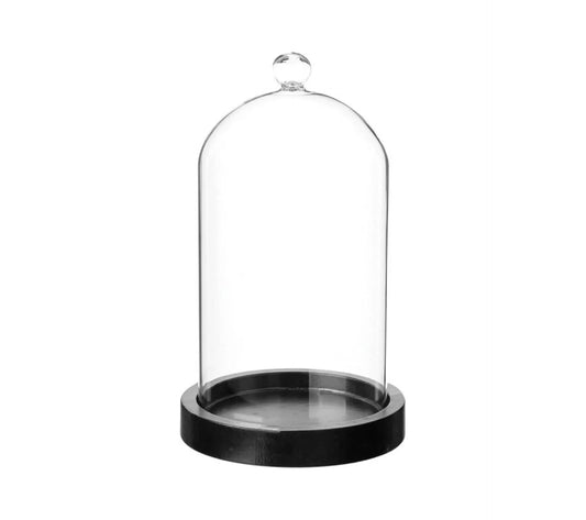 Alpha 55 Cloche en verre sur socle en bois H19cm