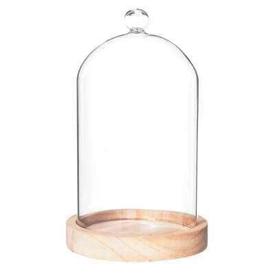 Cloche verre socle bois naturel 12x19
