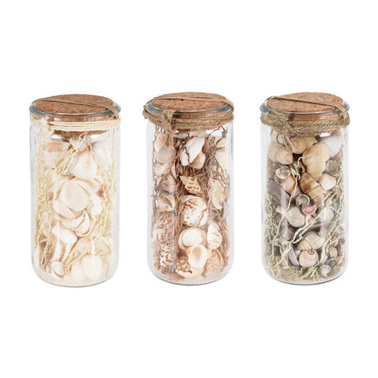 Alpha 55 Coquillages décoratifs en pot en verre