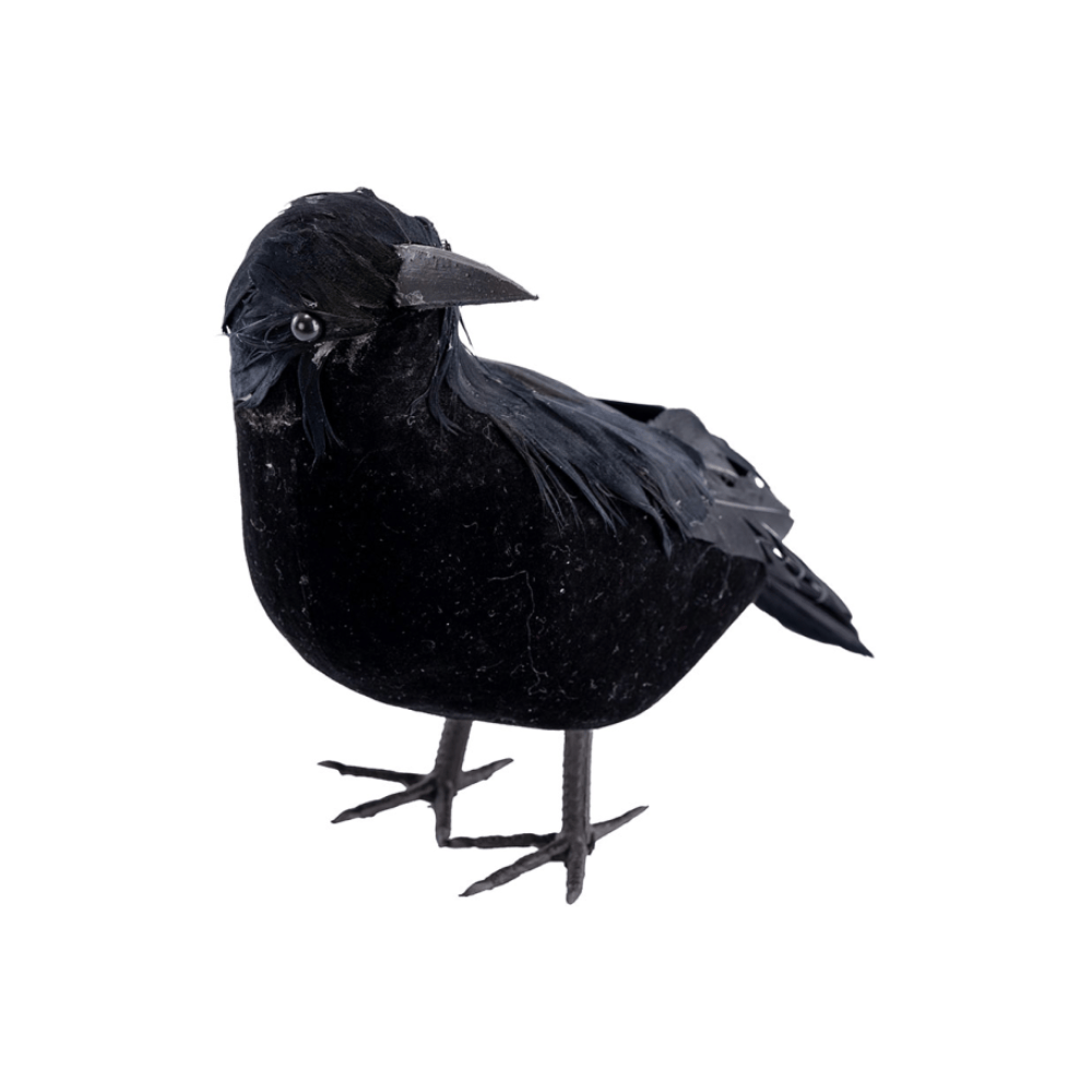 Alpha 55 Corbeau à Plumes 16 cm – Décoration Halloween