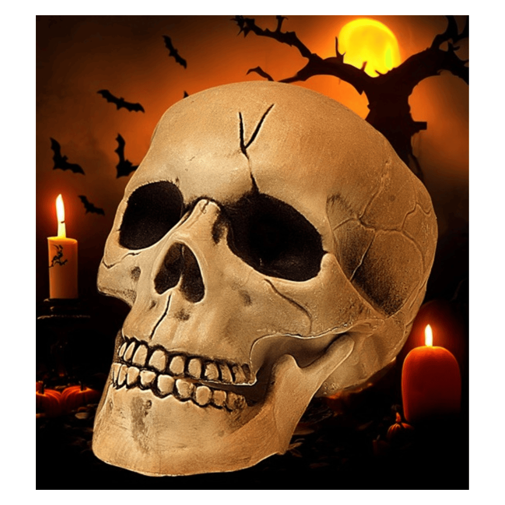 Alpha 55 Crâne 21 cm à Mâchoire Mobile – Décoration Halloween