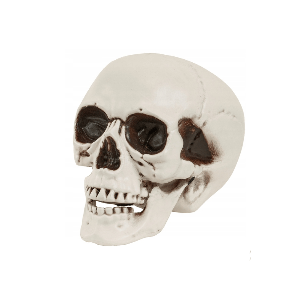 Alpha 55 Crâne à Mâchoire Mobile – Décoration Halloween