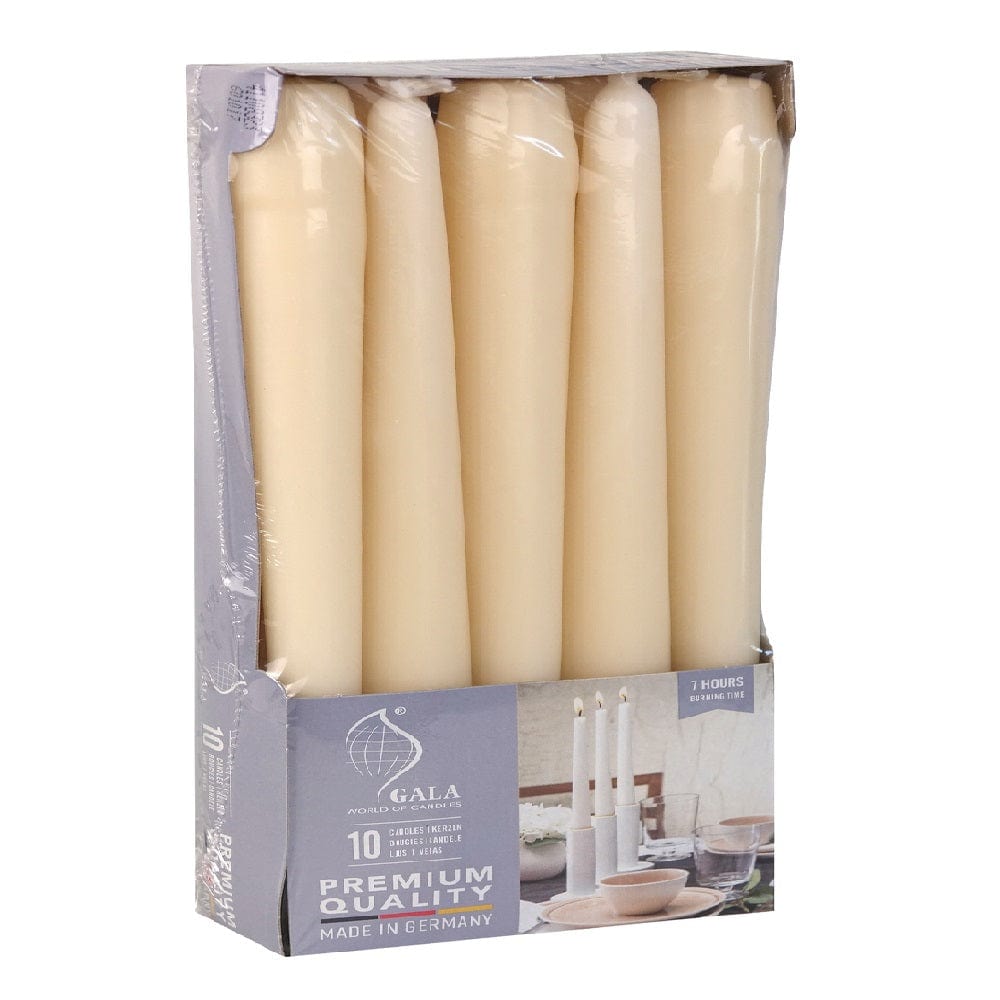 Alpha 55 Crème Lot de 10 bougies flambeau