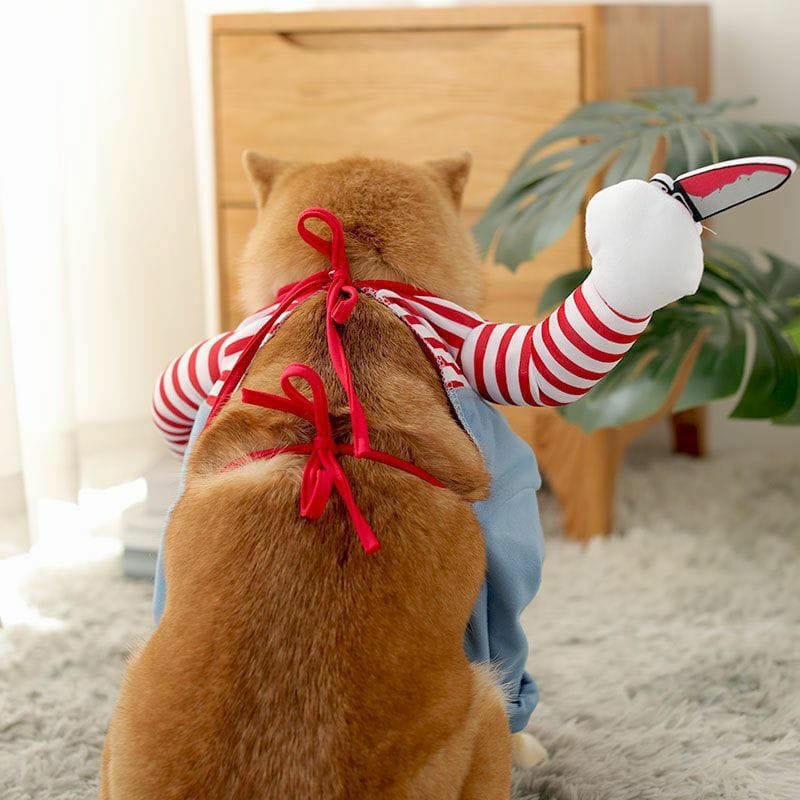 Alpha 55 Déguisement animal Déguisement Poupée Tueuse pour Chien et Chat – Halloween