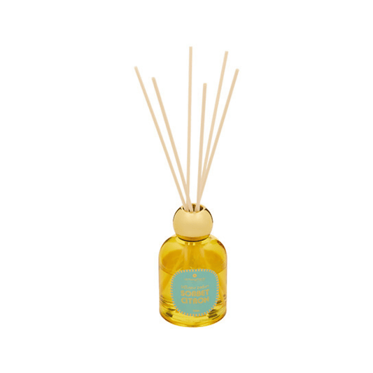 Alpha 55 Diffuseur parfum Sorbet 100ml en verre élégant