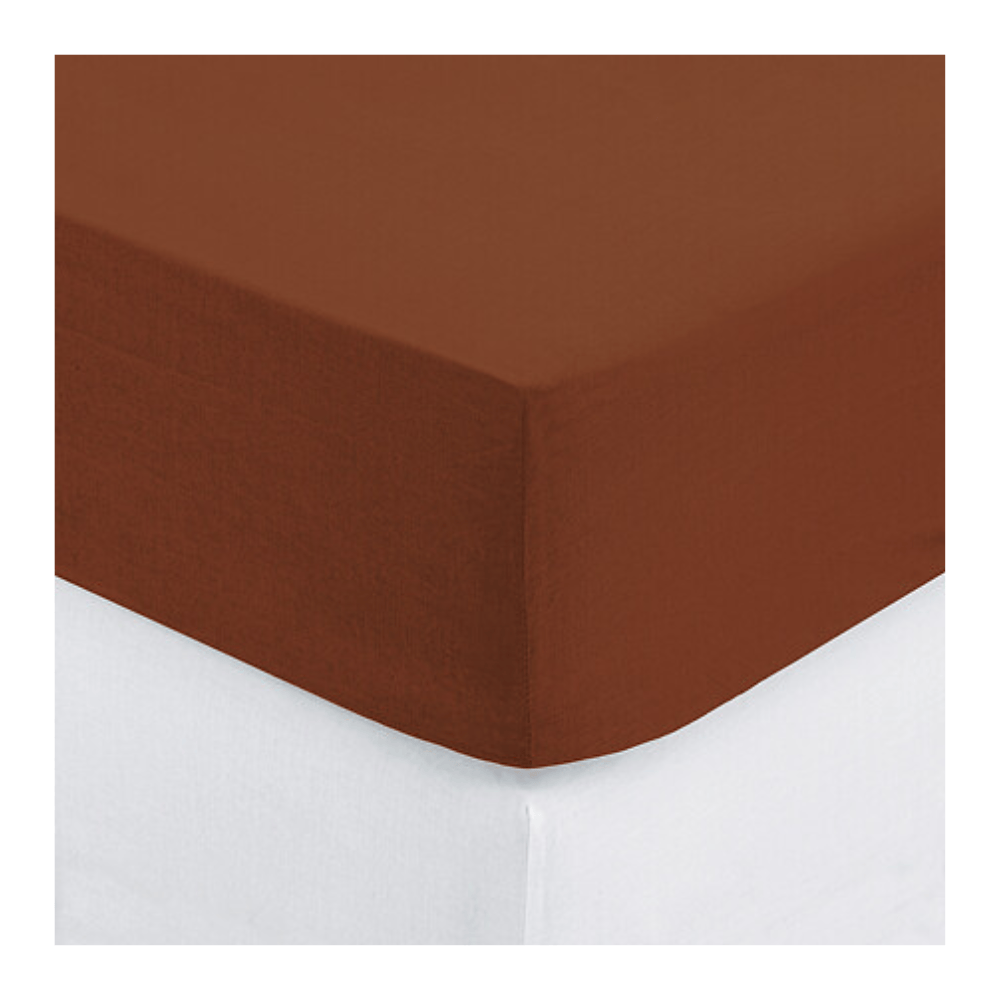 Alpha 55 Drap-Housse 160 x 200 cm Coton Terracotta