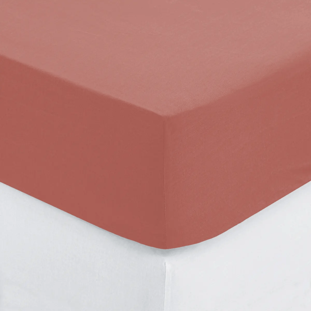 Alpha 55 Drap housse pour 1 personnes en coton