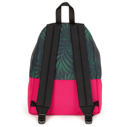 Alpha 55 Eastpak Padded Pak'R Resist W21